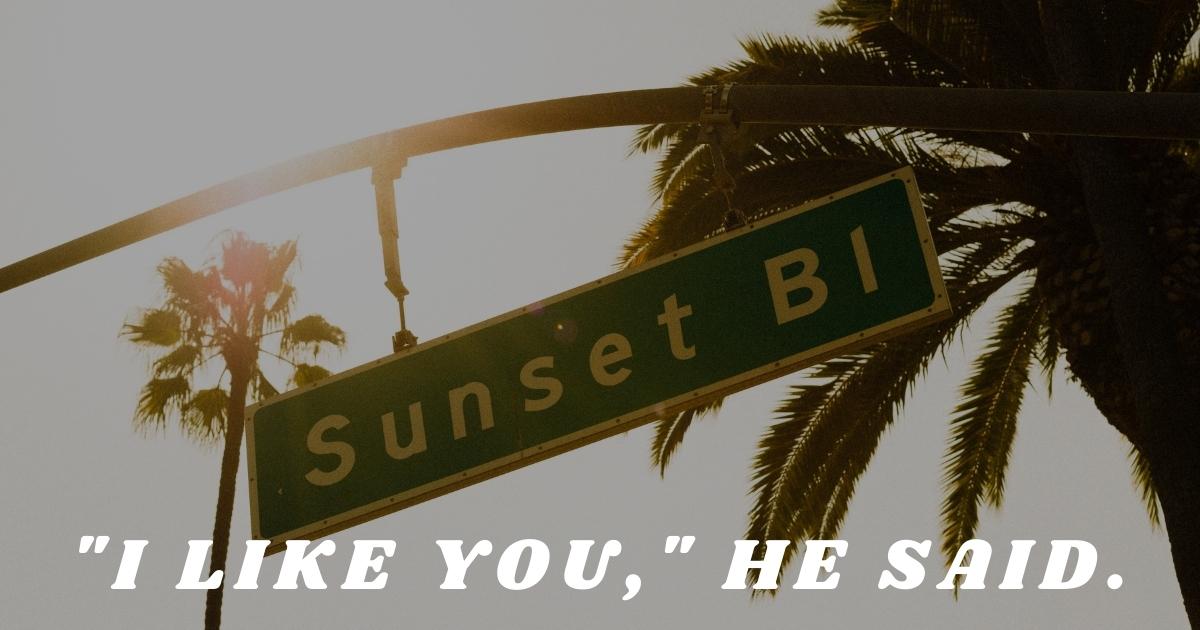 Sunset Boulevard traffic sign